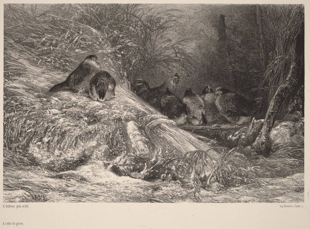 Zabezpieczone przed mrozem autorstwa Karl Bodmer
