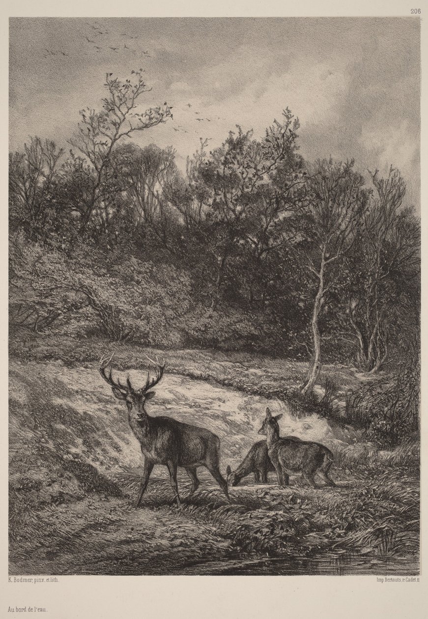 Nad wodą autorstwa Karl Bodmer