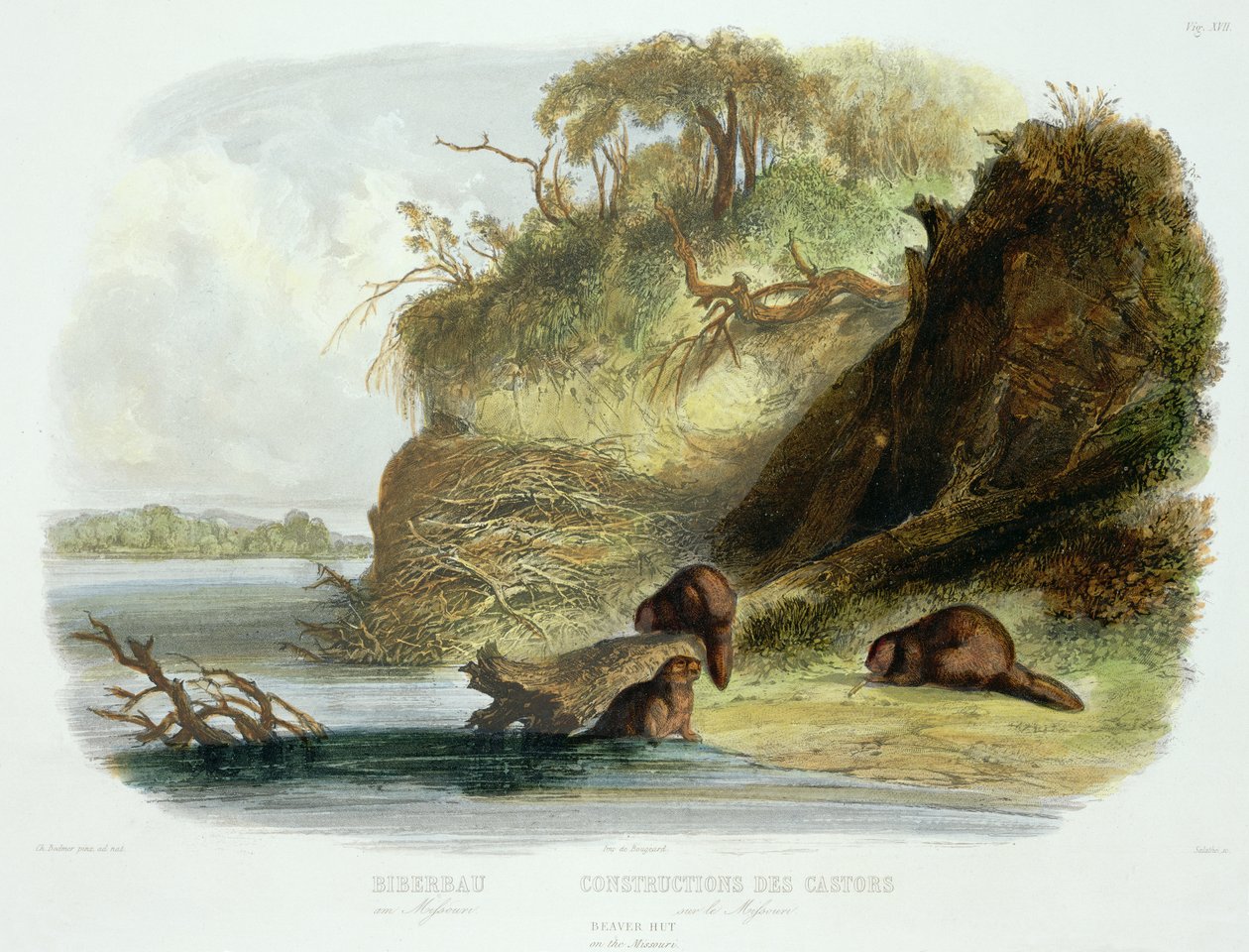 Beaver Hut nad Missouri, tablica 17 z tomu 1 „Podróże we wnętrzu Ameryki Północnej”, sztych. Friedrich Salathe (1793-1858) 1843 (akwatinta) autorstwa Karl Bodmer