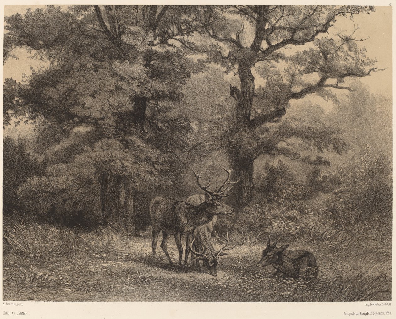 Jeleń w Gagnage autorstwa Karl Bodmer