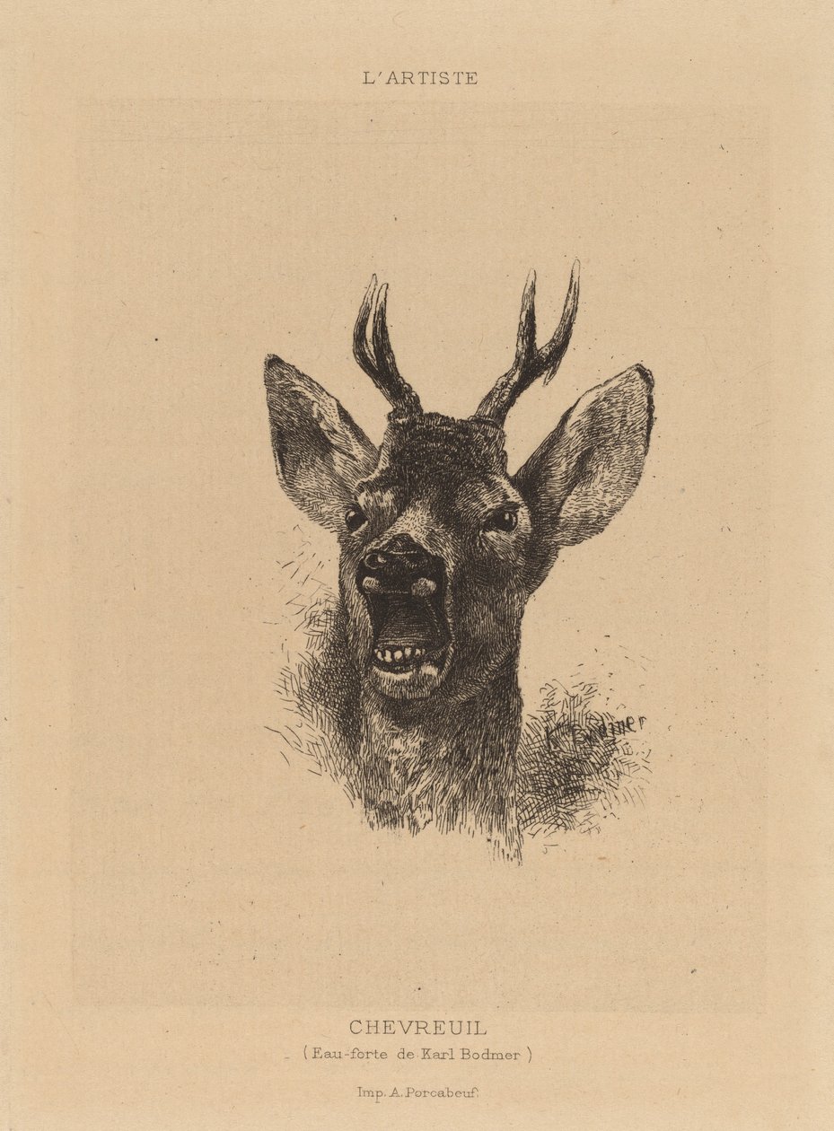 Jeleń. autorstwa Karl Bodmer