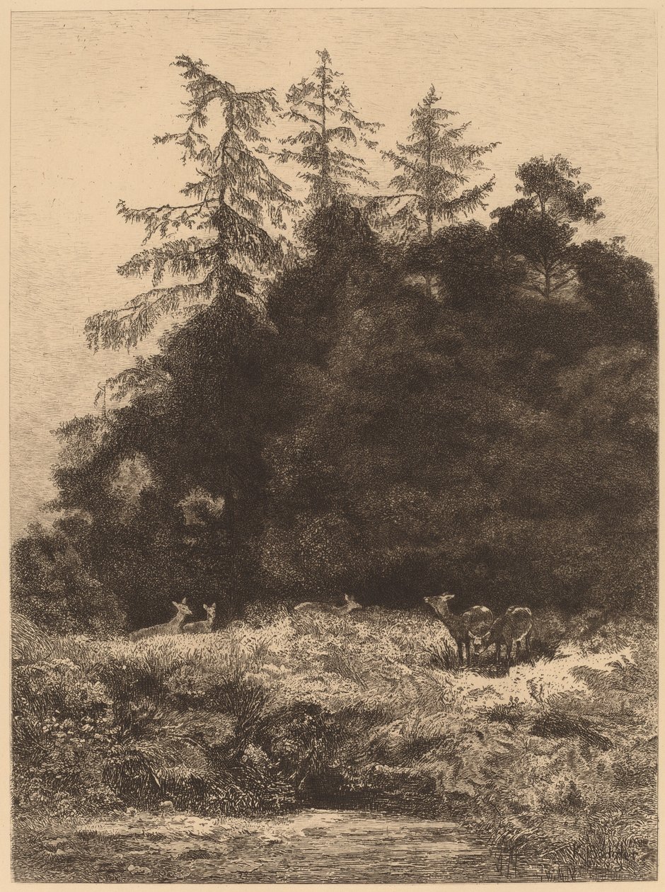 Daniele w parku autorstwa Karl Bodmer