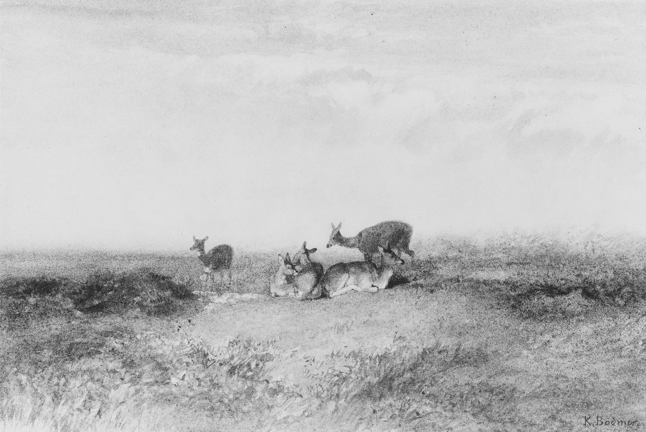 Jeleń w krajobrazie autorstwa Karl Bodmer