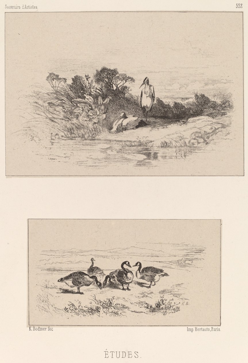 Studia autorstwa Karl Bodmer