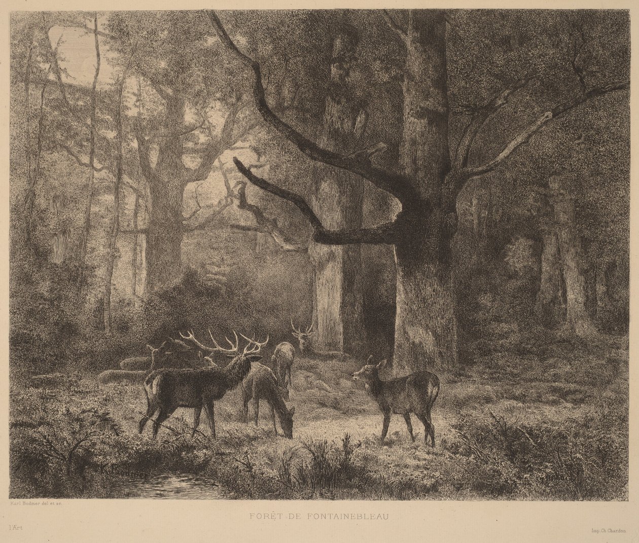 Las w Fontainebleau autorstwa Karl Bodmer