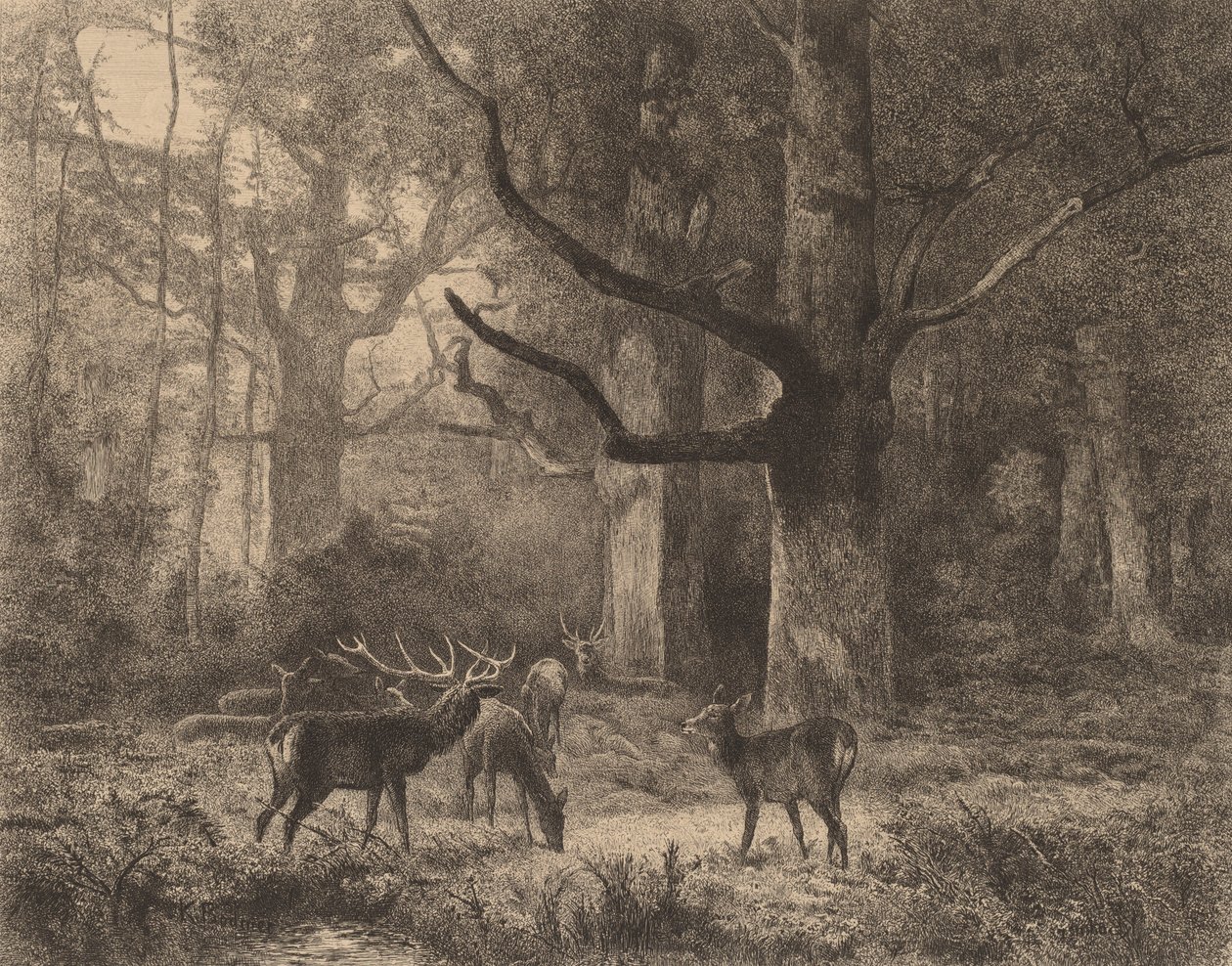 Las Fontainebleau. autorstwa Karl Bodmer