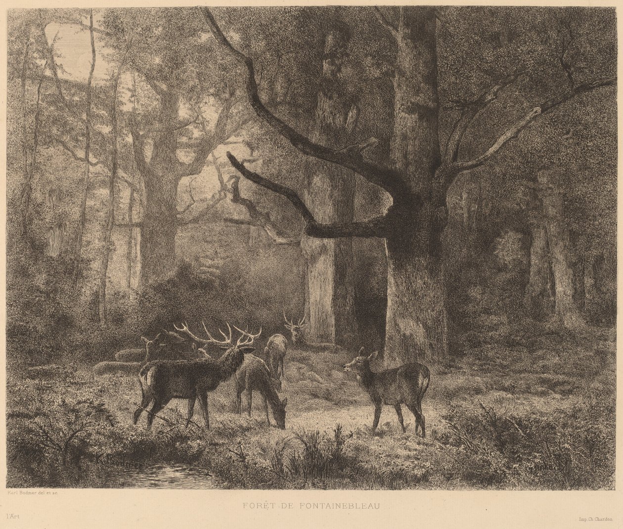 Las Fontainebleau autorstwa Karl Bodmer