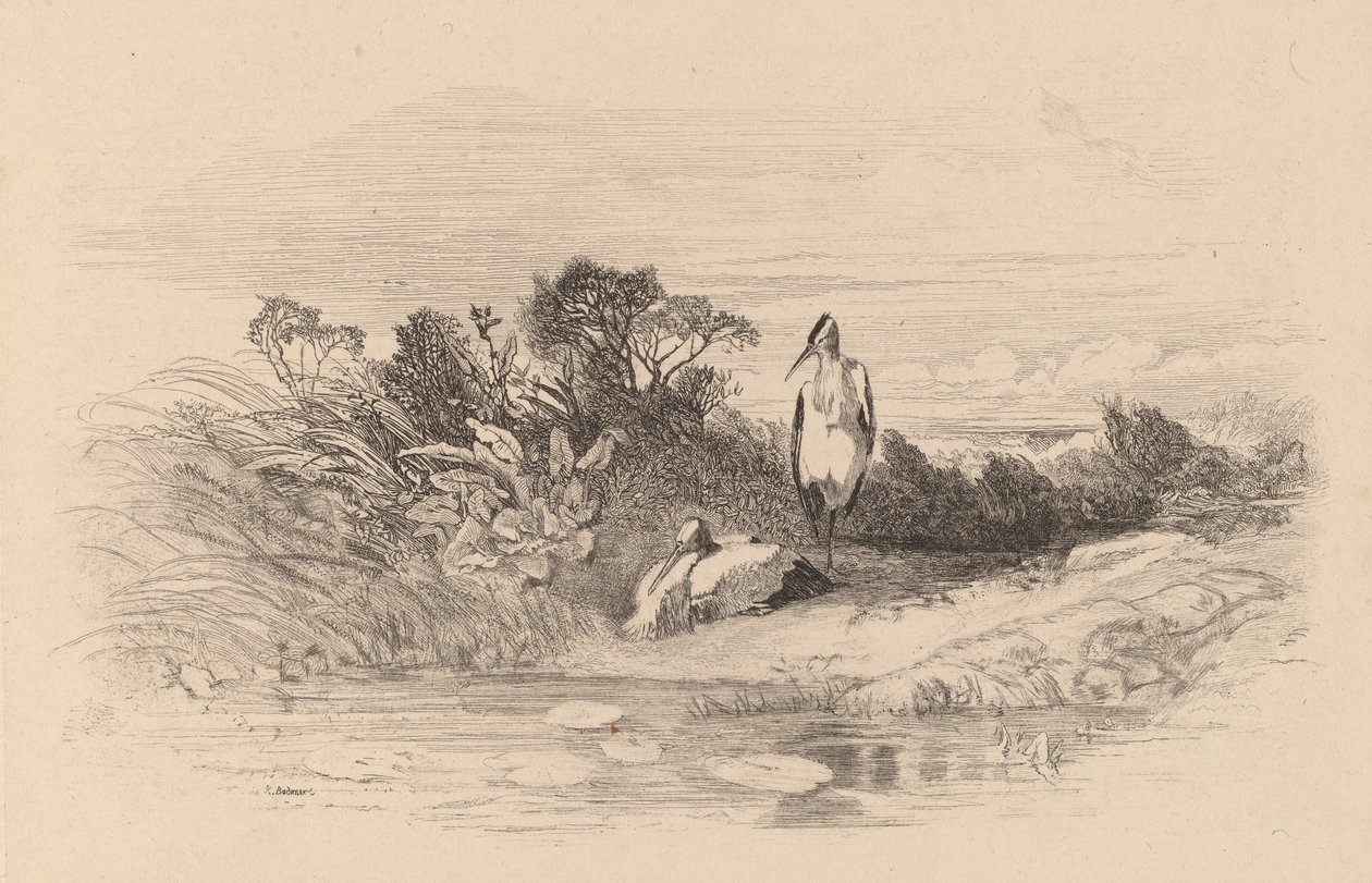 Czaple. autorstwa Karl Bodmer