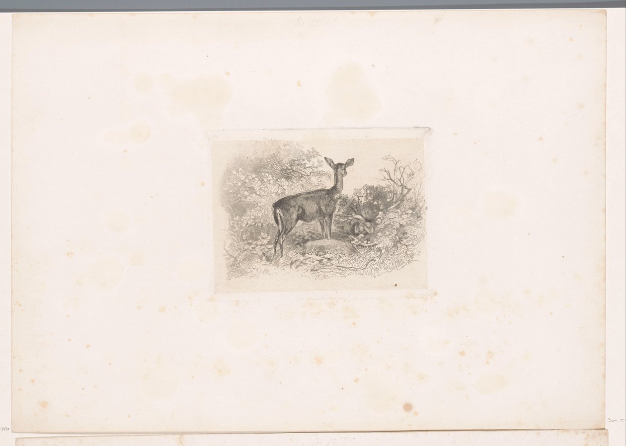 Hindus w lesie Krajobrazy ze zwierzętami (tytuł serii) autorstwa Karl Bodmer