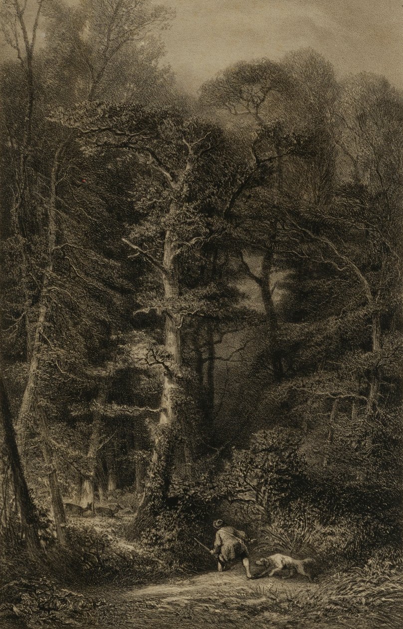 Wnętrze lasu autorstwa Karl Bodmer