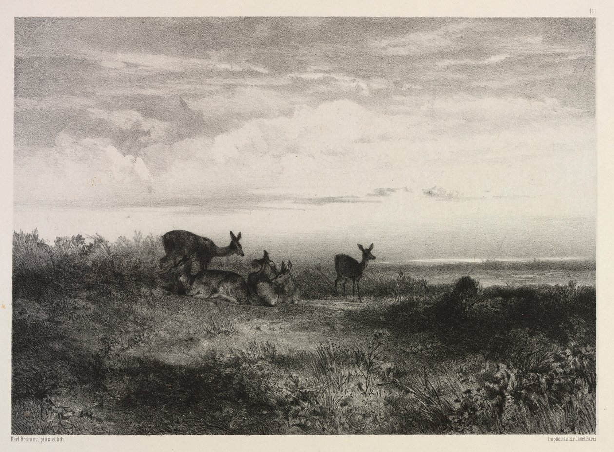 Krajobraz z jeleniem, ok. 1930 r. 1840. autorstwa Karl Bodmer