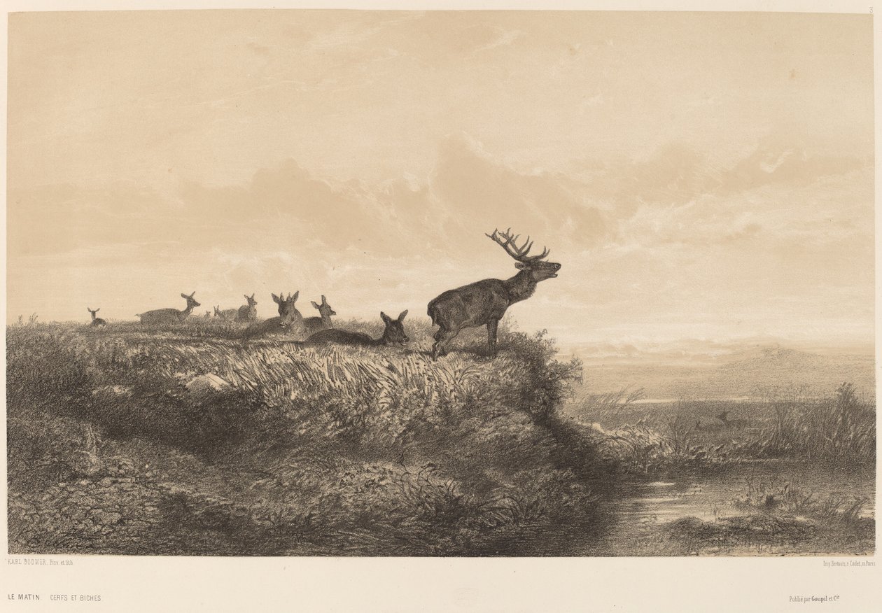 Poranek. autorstwa Karl Bodmer