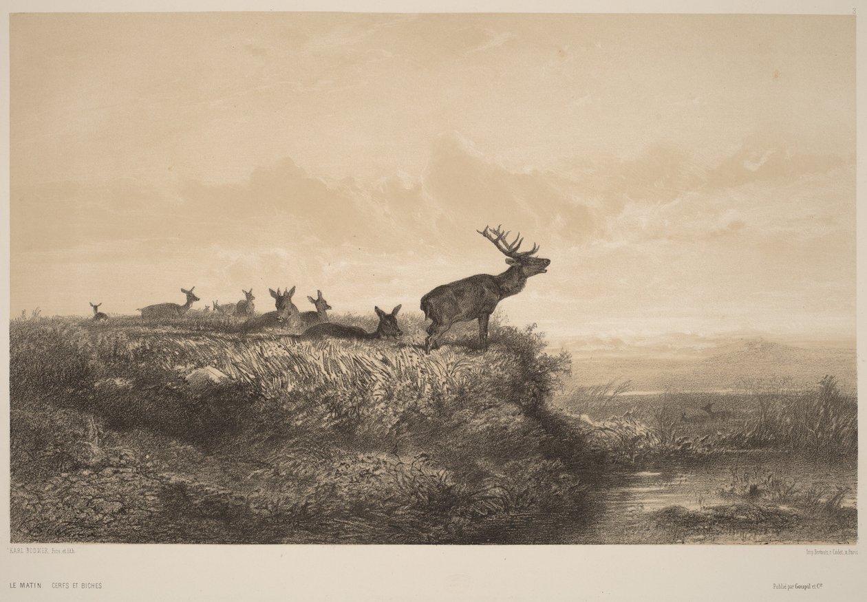 Poranek autorstwa Karl Bodmer