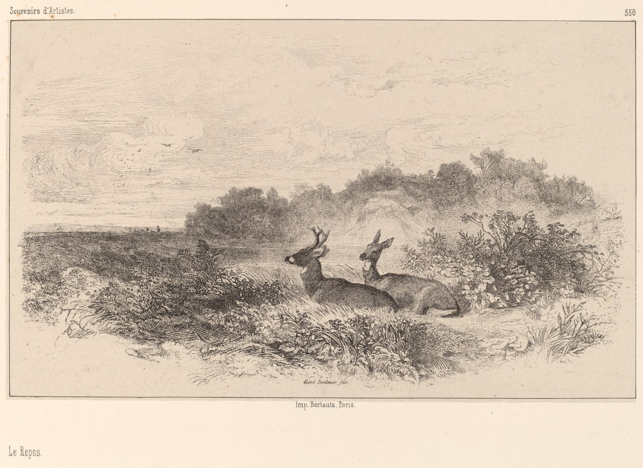 Reszta autorstwa Karl Bodmer