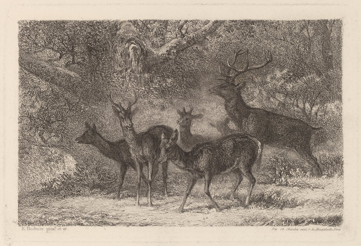 stado autorstwa Karl Bodmer