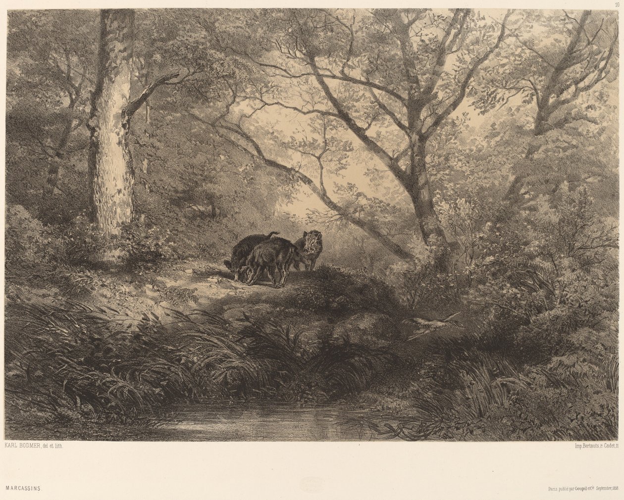 Markasyni autorstwa Karl Bodmer