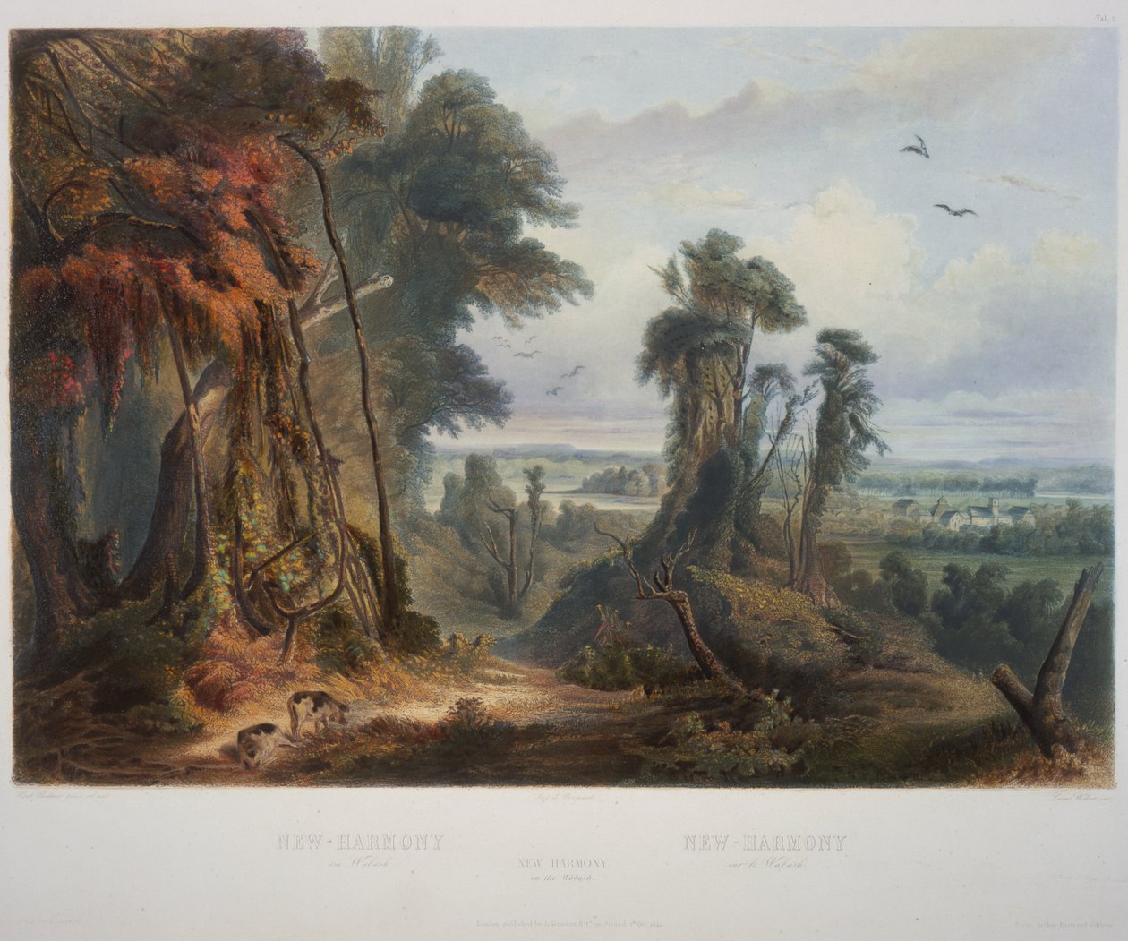 Nowa Harmonia na Wabash autorstwa Karl Bodmer