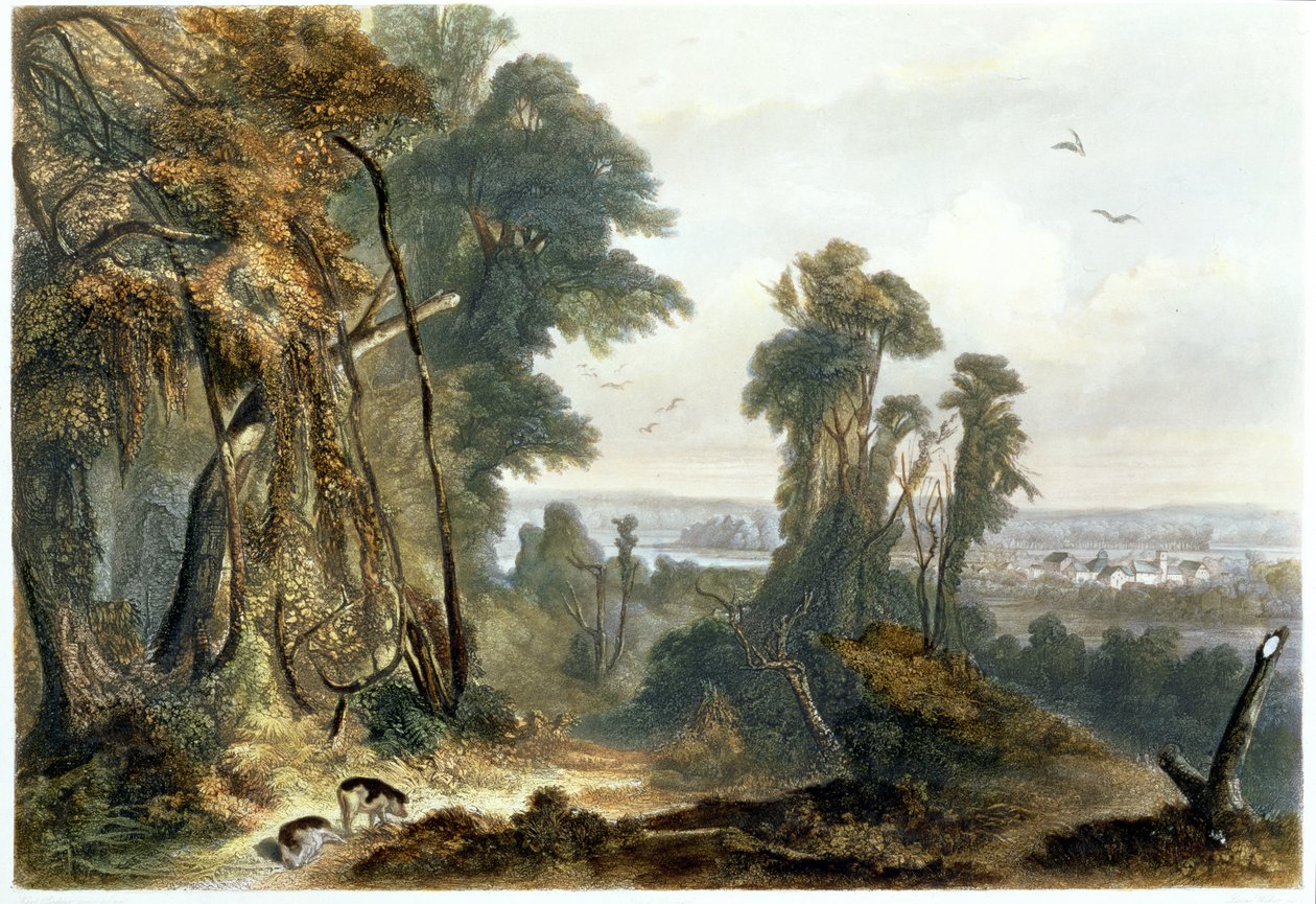 New Harmony on the Wabash, płyta 2 z tomu 2 „Podróże we wnętrzu Ameryki Północnej”, sztychowana przez Lucasa Webera, 1844 (akwatinta) autorstwa Karl Bodmer