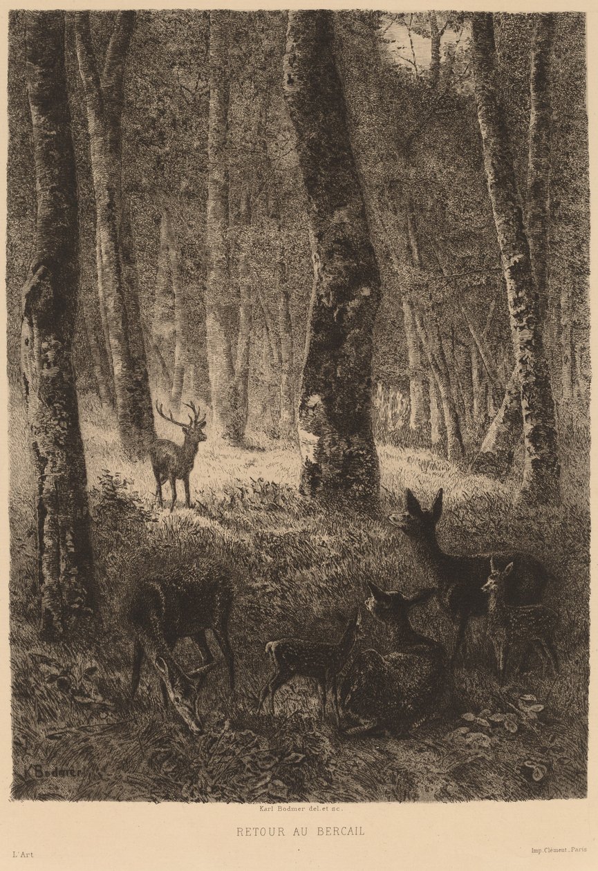 Powrót do domu. autorstwa Karl Bodmer