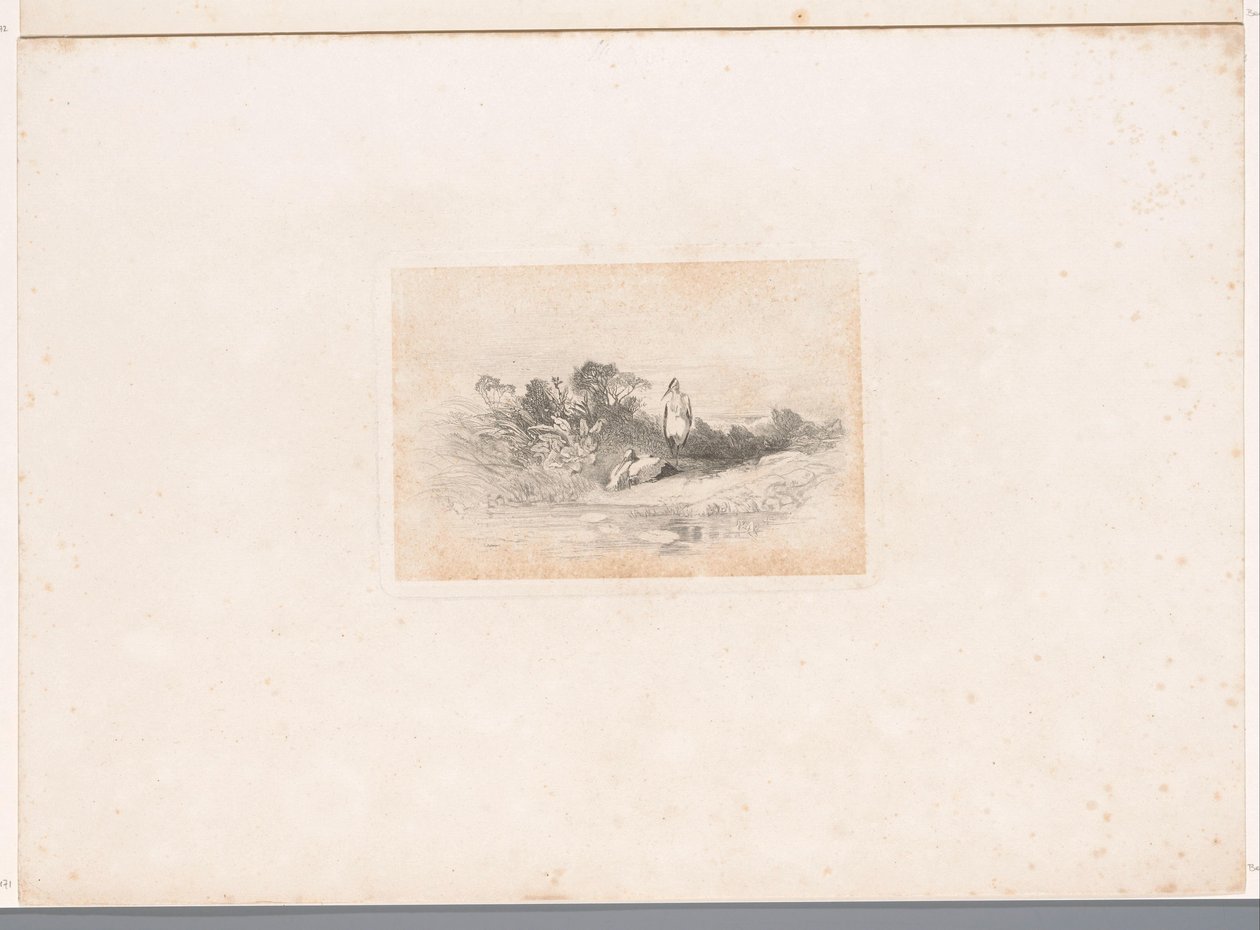 Dwie czaple na nabrzeżu Krajobrazy ze zwierzętami (tytuł serii) autorstwa Karl Bodmer