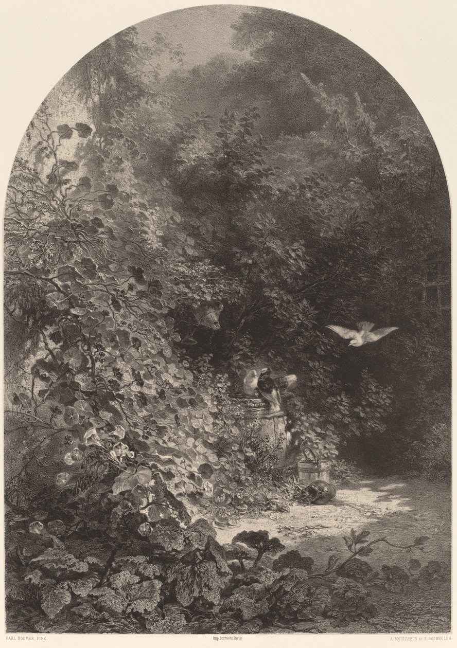 Zakątek ogrodu autorstwa Karl Bodmer