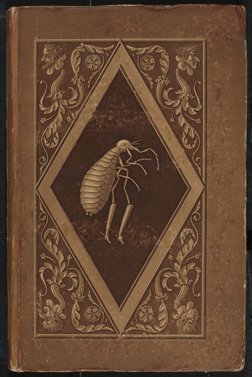 mistrzowska pchła. Bajka w siedmiu przygodach dwojga przyjaciół (Master Flea: Bajka w siedmiu przygodach dwojga przyjaciół) autorstwa Karl Friedrich Thiele, Ernst Theodor Amadeus Hoffmann