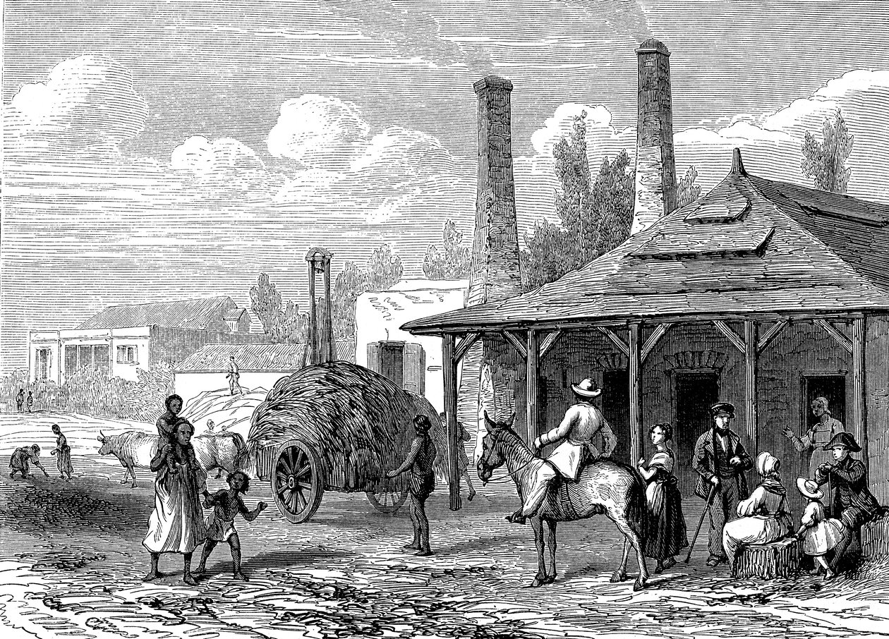 Sokeritehdas Mauritiuksella vuonna 1863. Le T du Monde Paris 1863 Publish autorstwa Karl Girardet