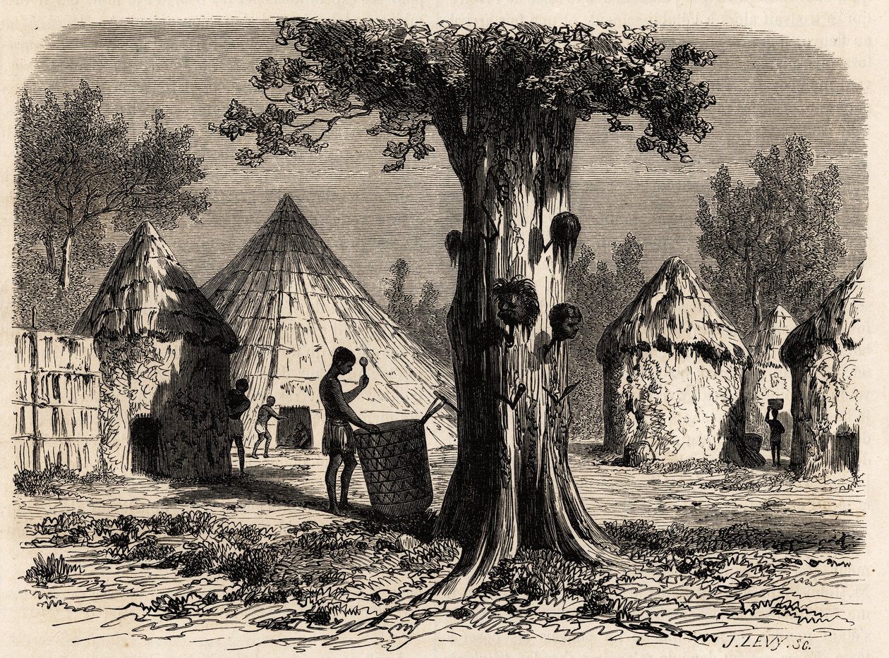 Drzewo wojny we wsi Djour, region Bahr-el-Gazal, Sudan, rysunek Karla Girardeta (1813-1871) ilustrujący podróż nad rzekę gazeli A. Bolognesi w latach 1856-1857. Grawerowanie w „”Le tour du monde””, pod redakcją Edouarda Chartona autorstwa Karl Girardet