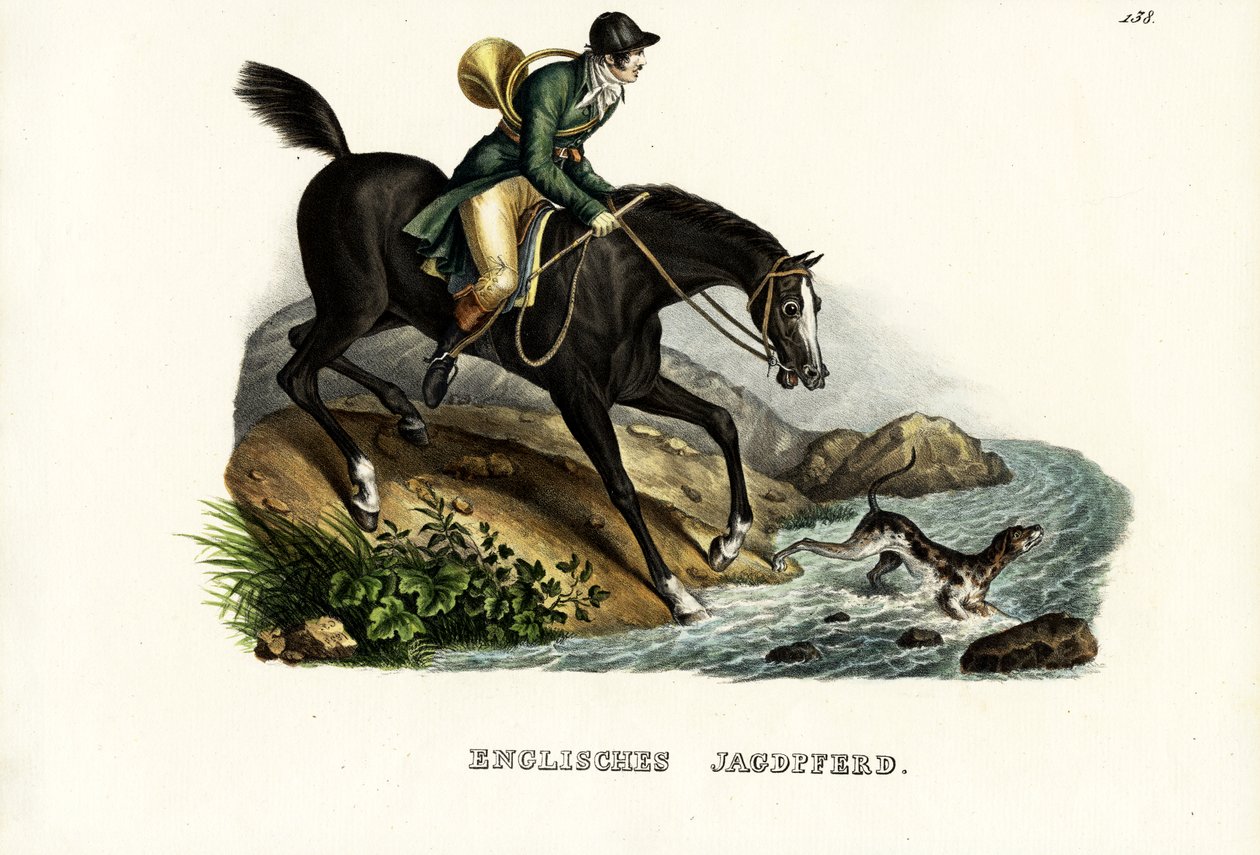 Angielski koń myśliwski, 1824 autorstwa Karl Joseph Brodtmann