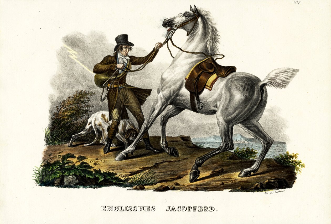 Angielski koń myśliwski, 1824 autorstwa Karl Joseph Brodtmann