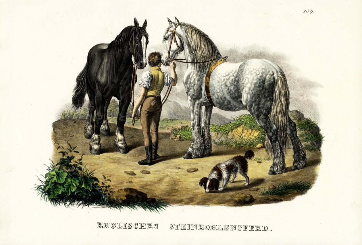 Angielski Koń Pit, 1824 autorstwa Karl Joseph Brodtmann