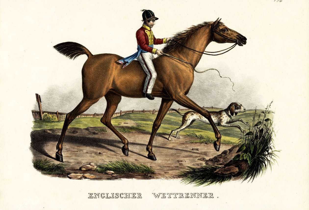 Angielski koń wyścigowy, 1824 autorstwa Karl Joseph Brodtmann