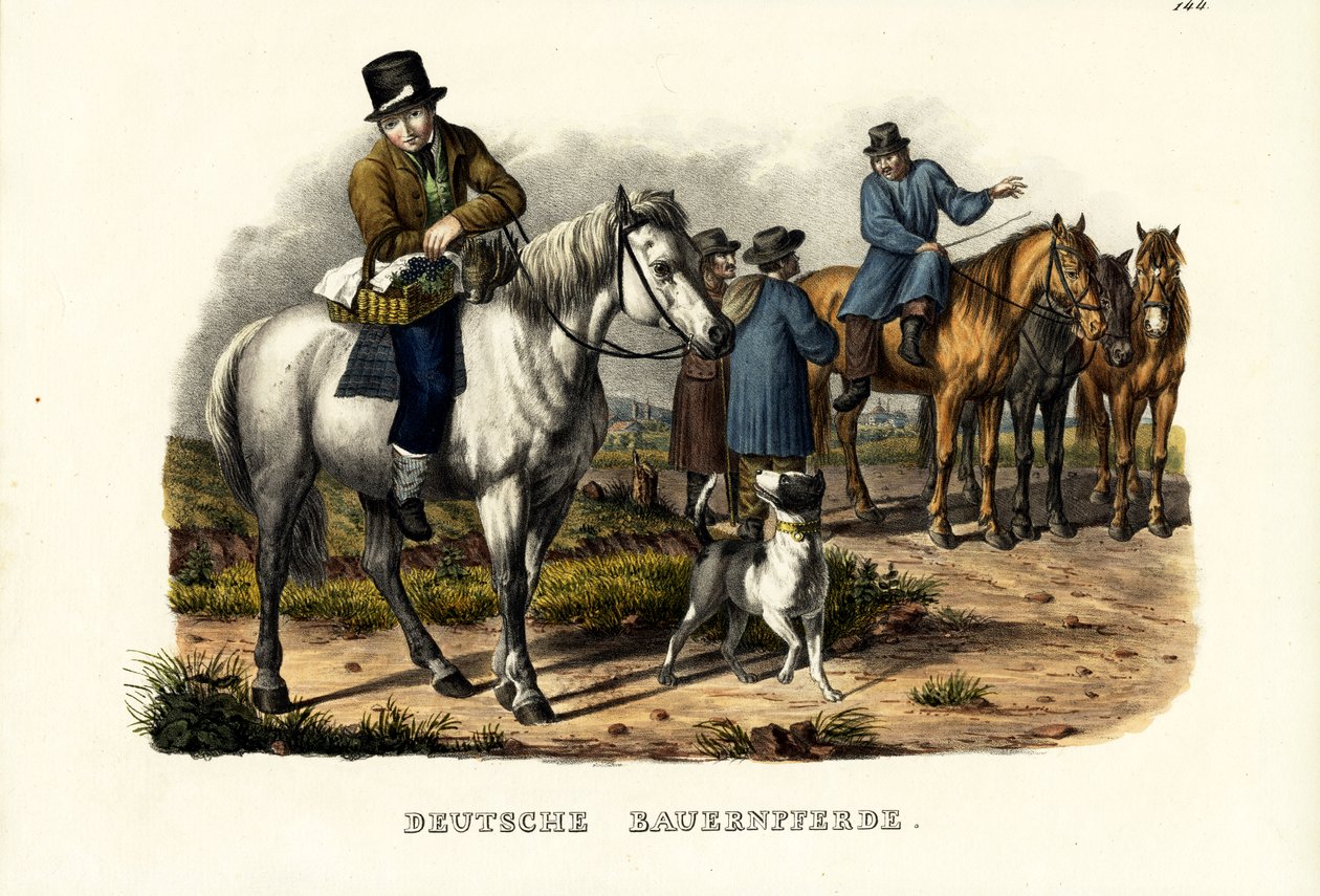 Niemieckie konie hodowlane, 1824 autorstwa Karl Joseph Brodtmann