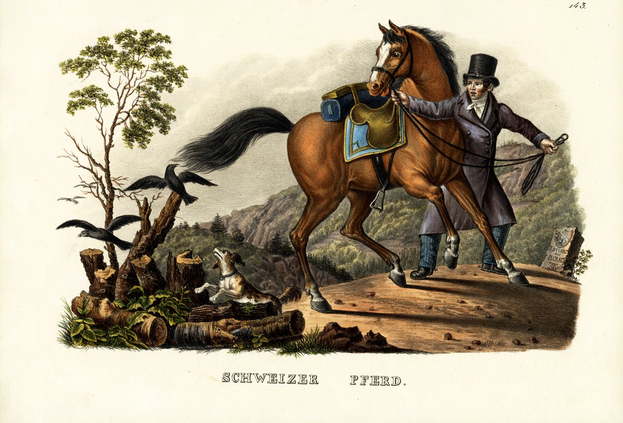 Koń szwajcarski, 1824 autorstwa Karl Joseph Brodtmann