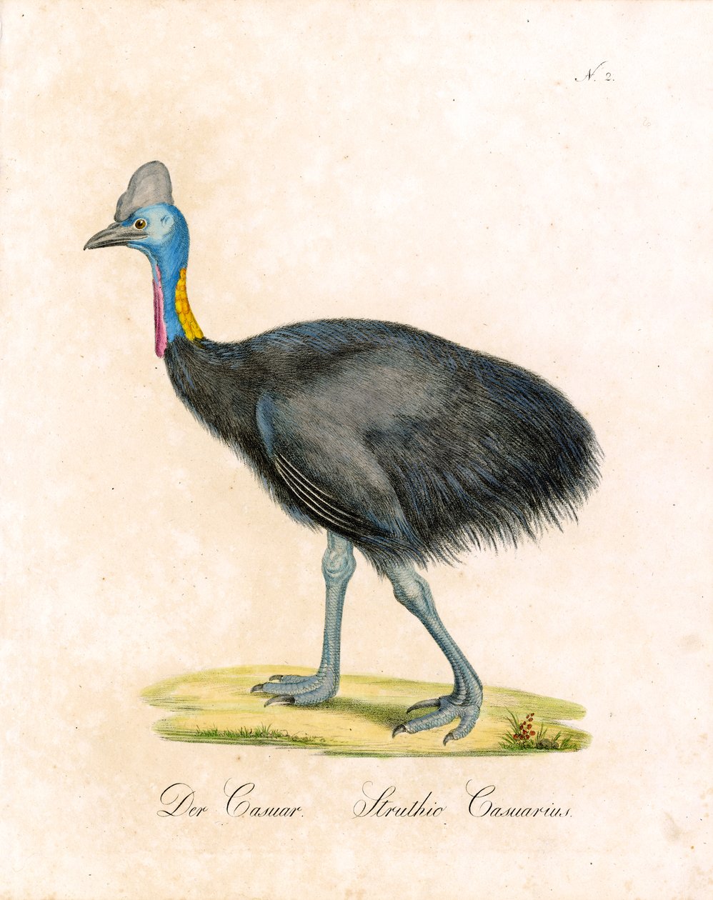  autorstwa Karl Joseph Brodtmann