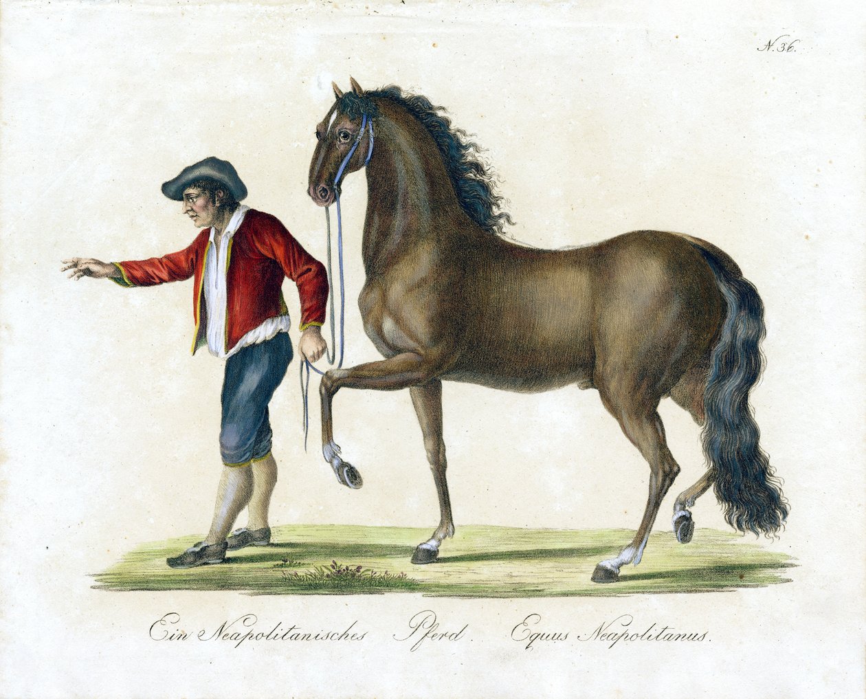  autorstwa Karl Joseph Brodtmann