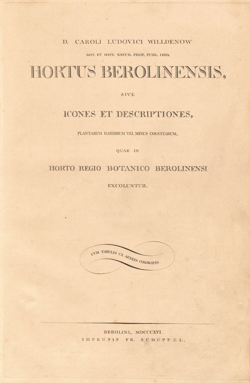 Ogród w Berlinie autorstwa Karl Ludwig Willdenow