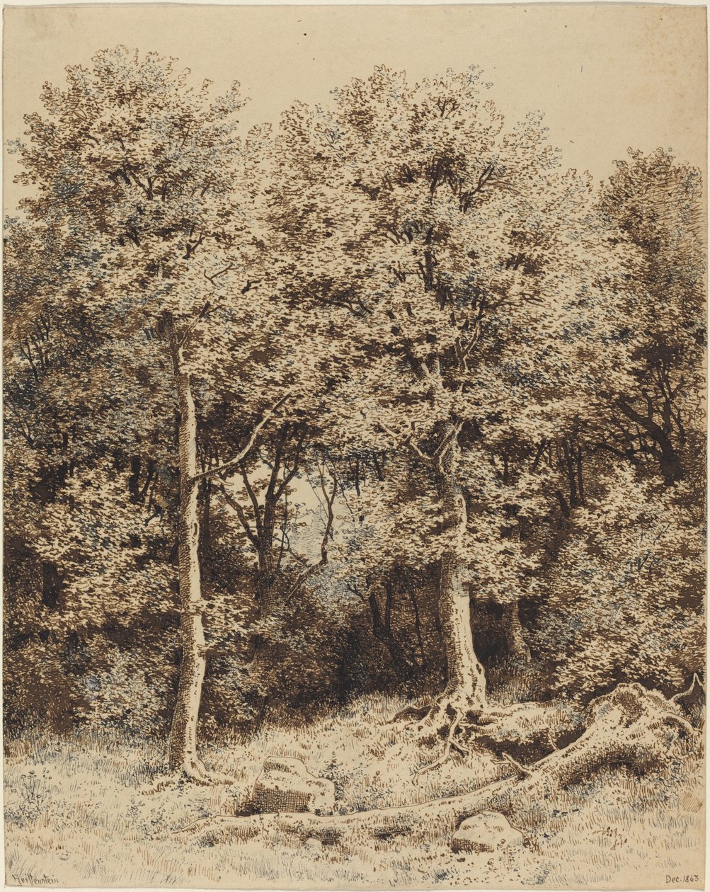Zagajnik drzew autorstwa Karl Theodor Reiffenstein