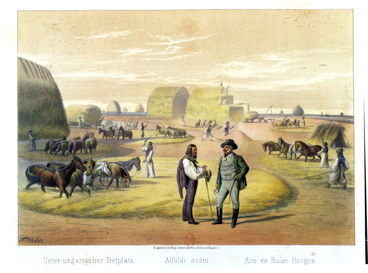 Młócenie pszenicy na Węgrzech, z książki Barona Pronay, Budapeszt, 1855 autorstwa Karoly Sterio