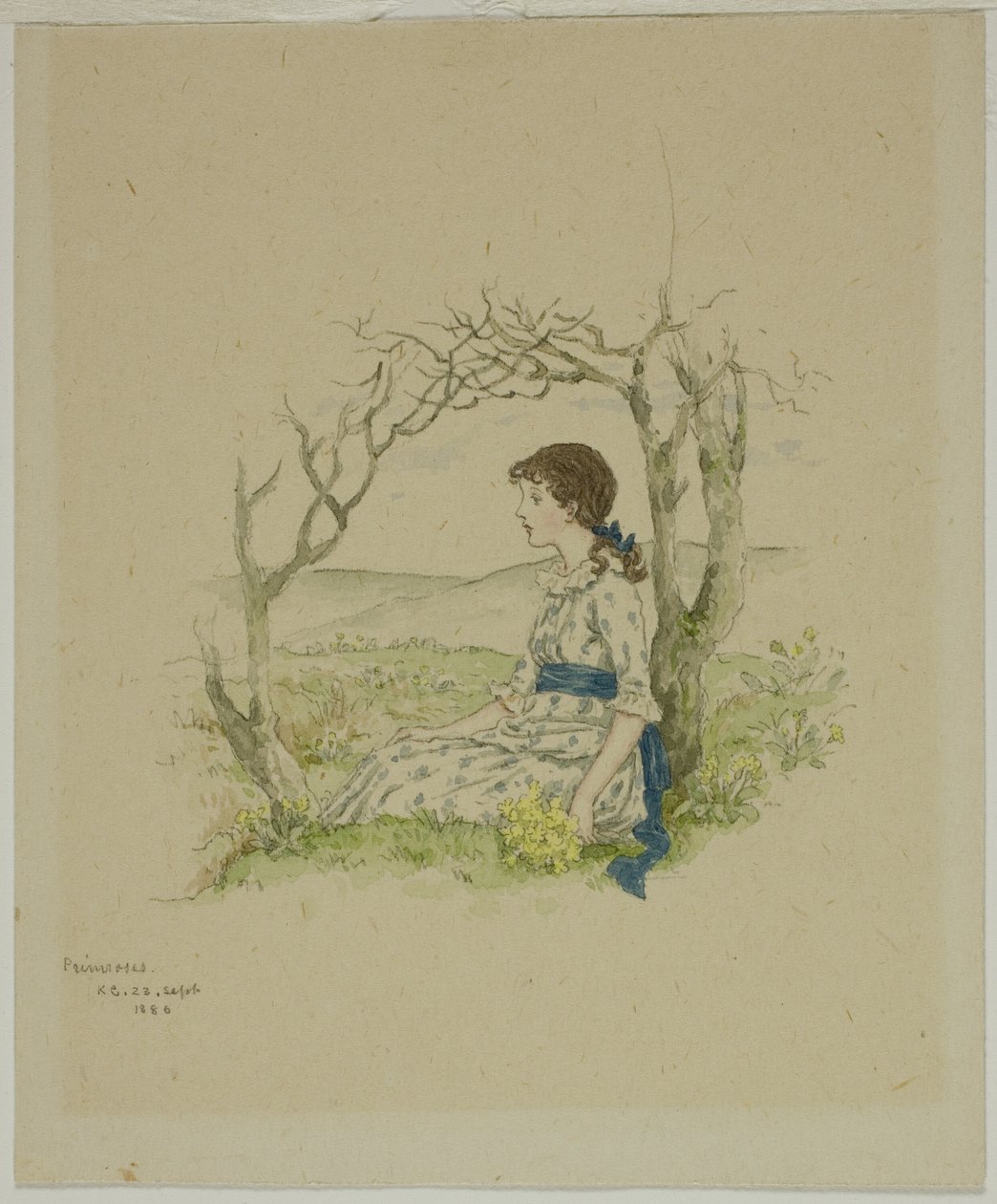 Siedząca dziewczyna z pierwiosnkami autorstwa Kate Greenaway