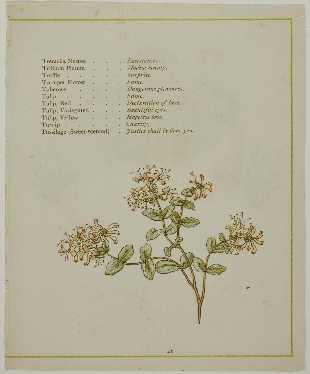 Walerian przez Volkamenię, z Oświeconego języka kwiatów autorstwa Kate Greenaway