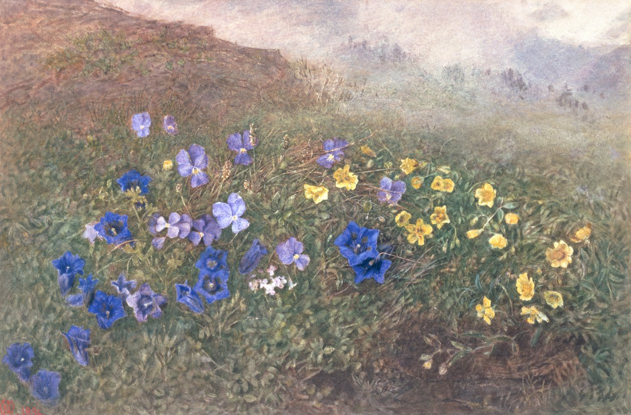 Wiosenne kwiaty górskie, 1896 autorstwa Kate fl.1873 96 Goodwin