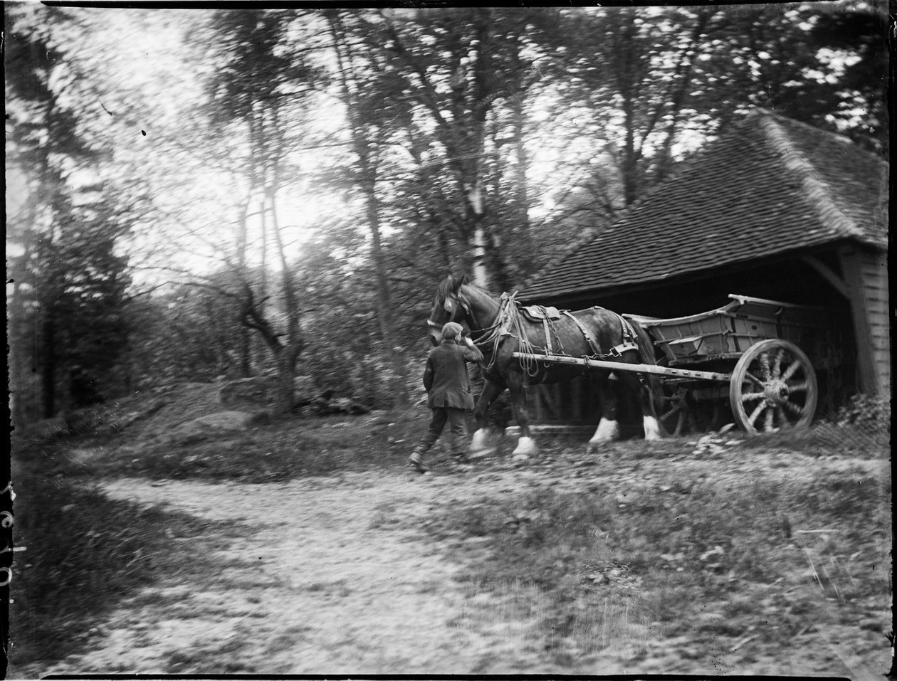 Groombridge, Speldhurst, Tunbridge Wells, Kent, 20/05/1911 (foto em preto e branco)polonês autorstwa Katherine Jean Macfee