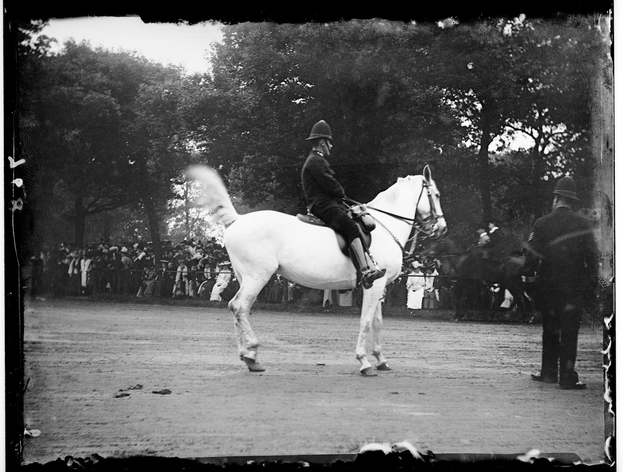 Hyde Park, Miasto Westminster, Londyn autorstwa Katherine Jean Macfee