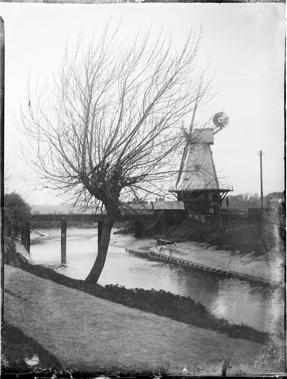 Rye Windmill, Ferry Road, Rye, Rother, East Sussex, 25.04.1905 (czarno-białe zdjęcie) autorstwa Katherine Jean Macfee