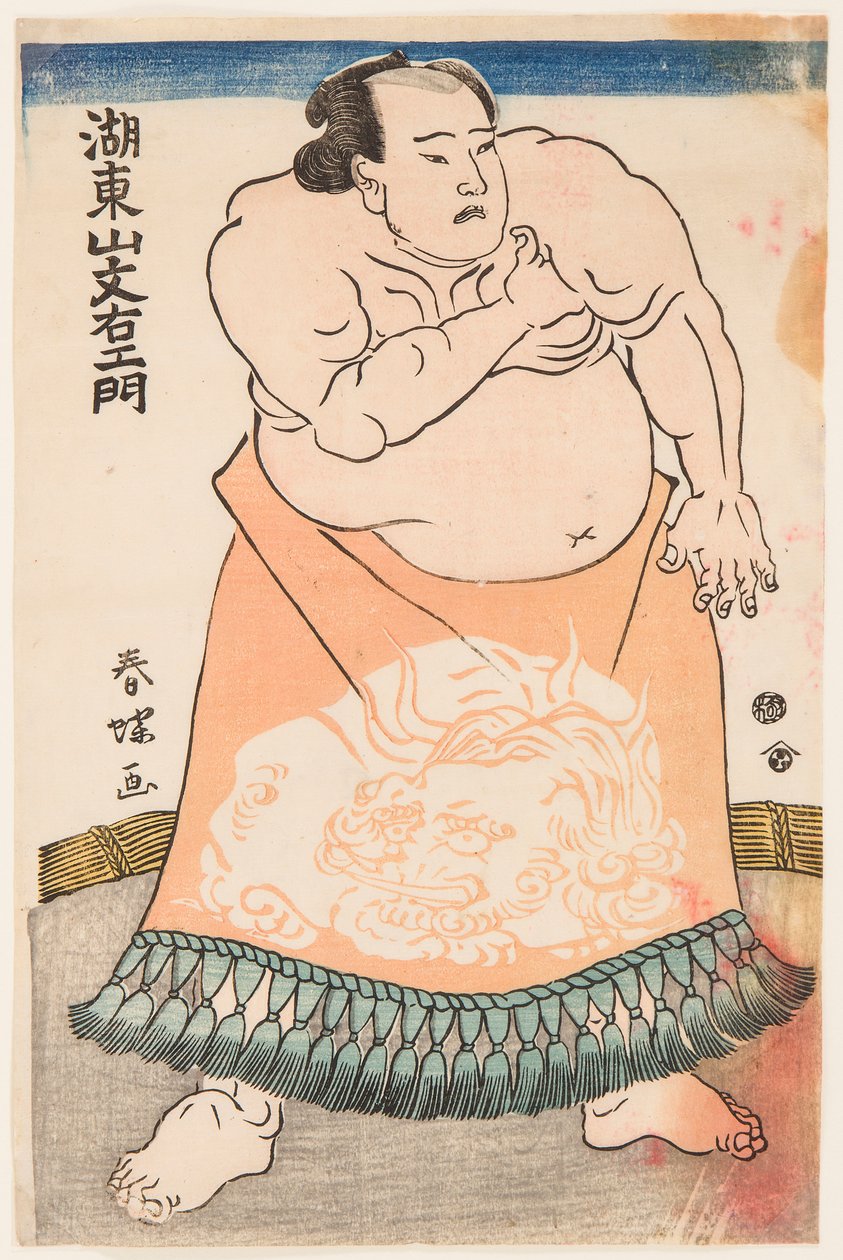 Portret zapaśnika sumo Kotozan w rytualnym fartuchu. Rycina Shunsho, Katsukawa (1726-1793), ok. 1775 - Zapaśnik Kotozan w fartuchu (kesho-mawashi), autorstwa Shunsho, Katsukawa (1726-1793). Drzeworyt kolorowy, ok. 1775. Wymiary: 34,5x22,5 cm. autorstwa Katsukawa Shunsho