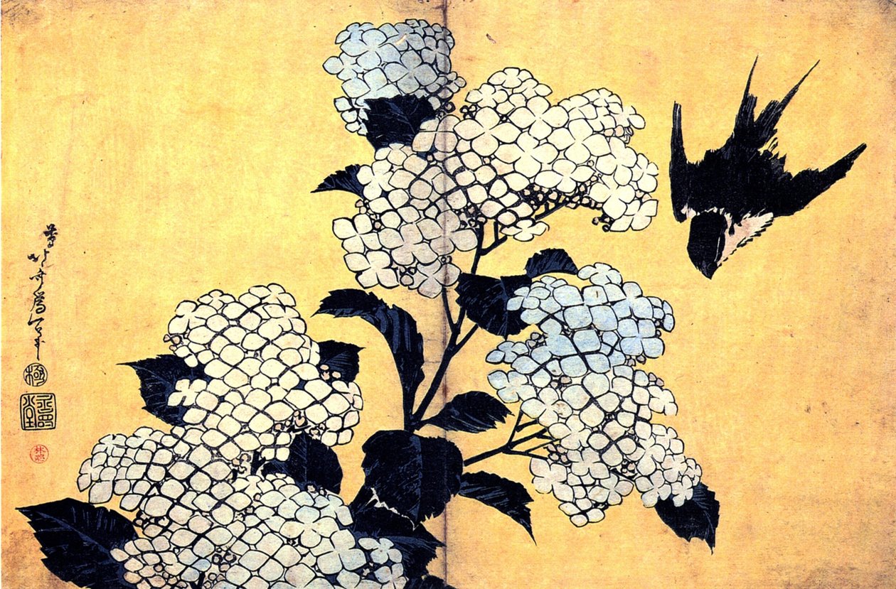 Hortensja i Jaskółka autorstwa Katsushika Hokusai