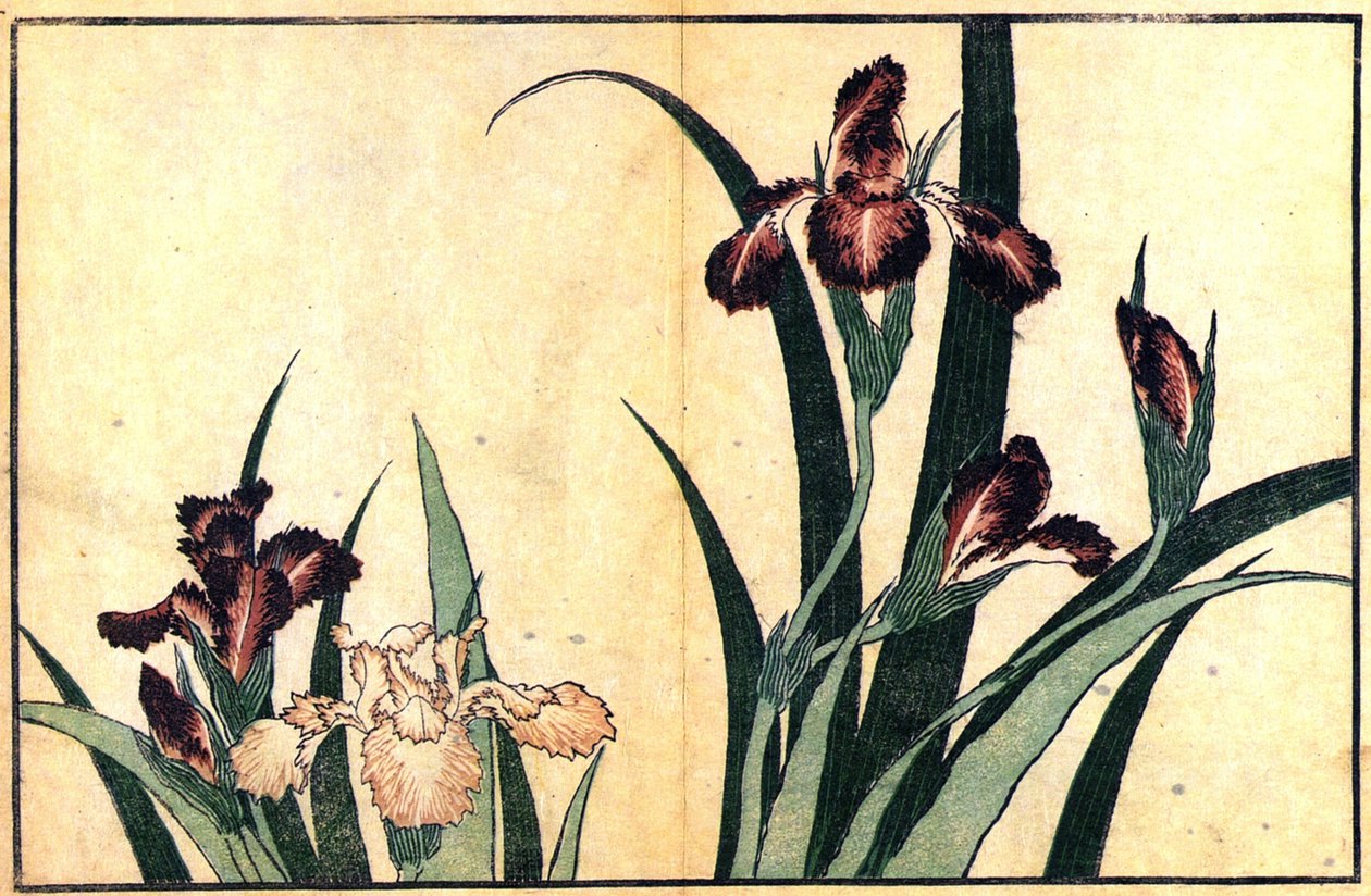 Irysy autorstwa Katsushika Hokusai