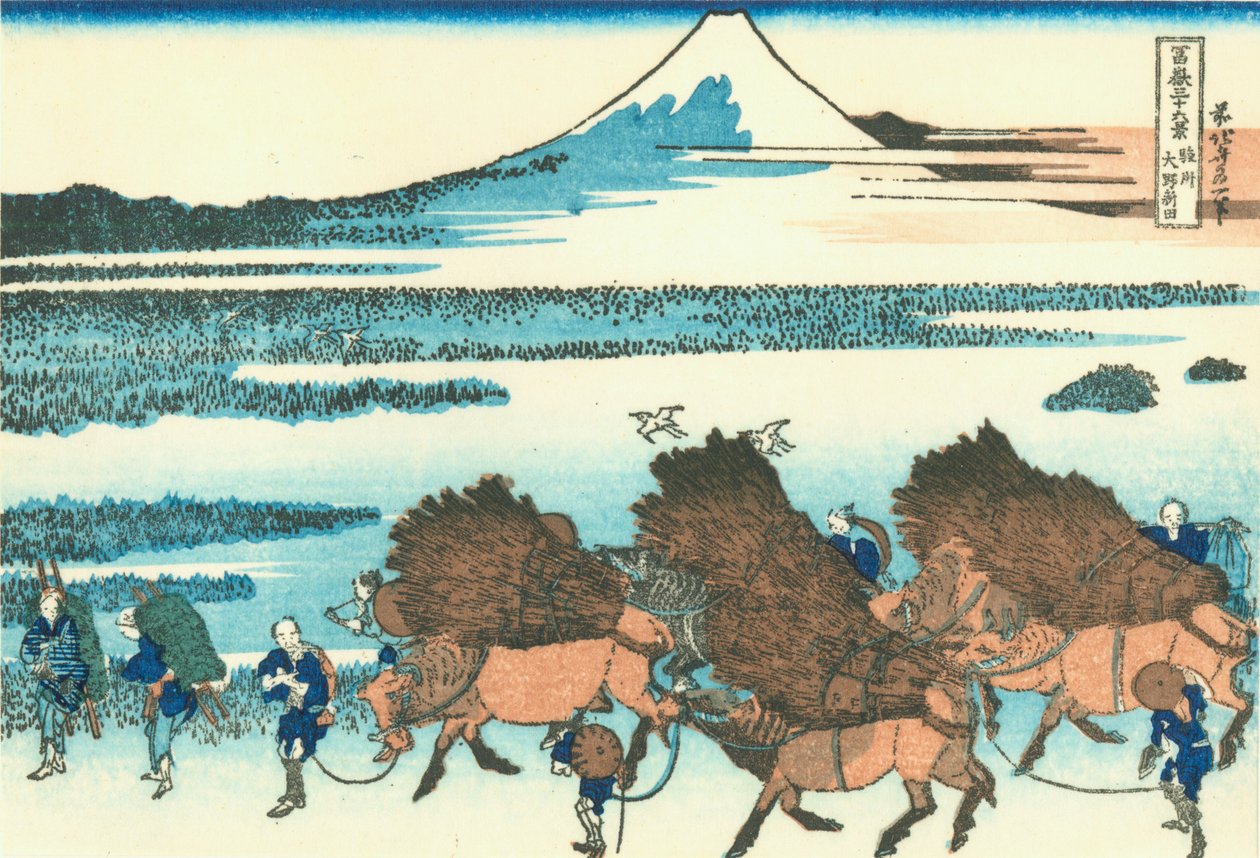 Pola ryżowe w Ono w prowincji Suruga autorstwa Katsushika Hokusai
