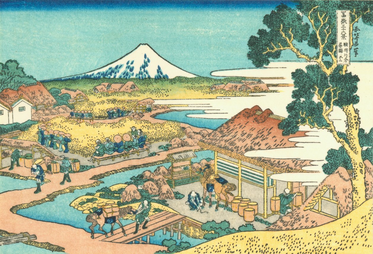 Fuji widziana z plantacji herbaty w Katakura w prowincji Suruga autorstwa Katsushika Hokusai